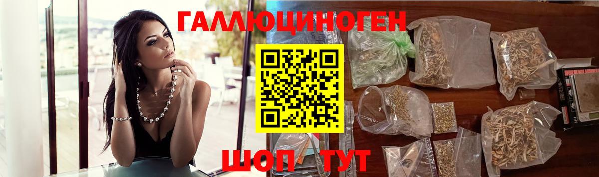 Псилоцибиновые грибы GOLDEN TEACHER Железноводск